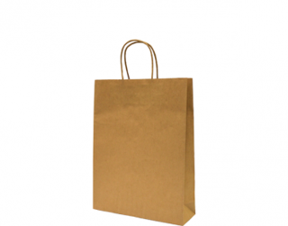 Paper Carry Bag with Twisted Paper Handle, Small, Brown - Castaway