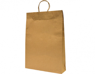 Paper Carry Bag with Twisted Paper Handle, Large, Brown - Castaway