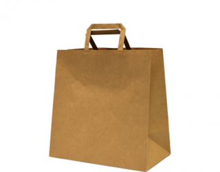 Paper Carry Bag with Flat Paper Handle, Medium, Brown 280W x 280L x 150G - Castaway