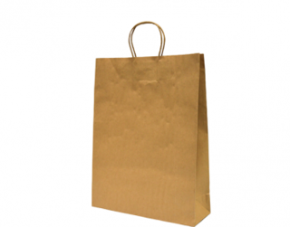Paper Carry Bag with Twisted Paper Handle, Medium, Brown - Castaway