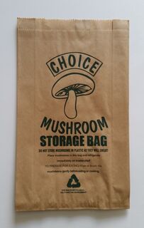 Mushroom Paper Bag 170x80x295 - Fortune