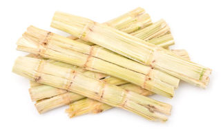What is sugarcane food packaging?