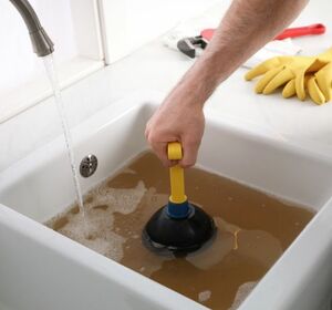The power of enzymes: why they're great for keeping your drains clear