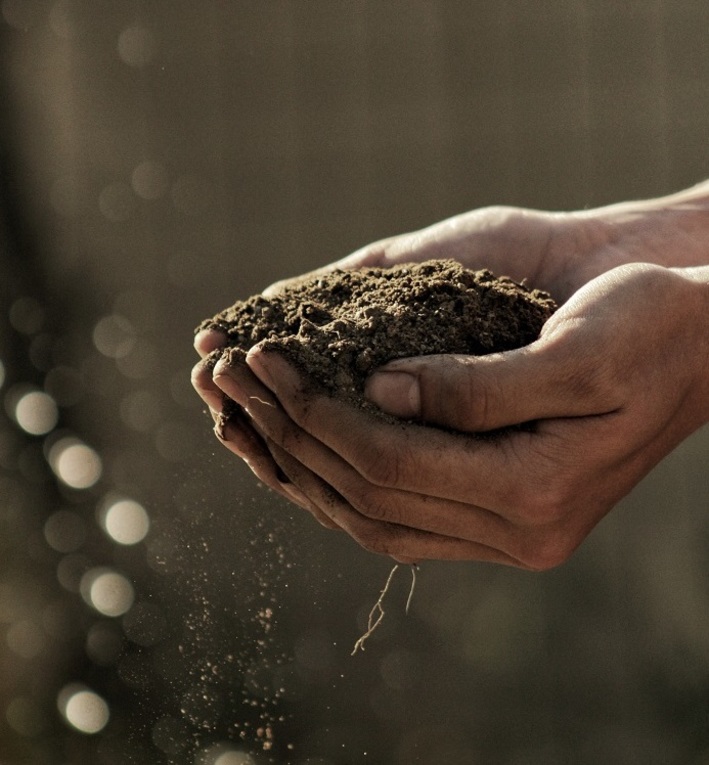 Commercial composting vs home composting What's the difference?