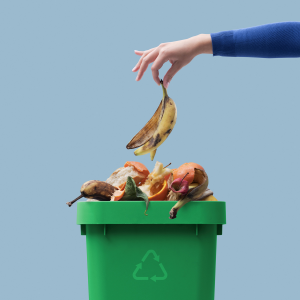 Biogas vs Composting: What Happens to Food Waste After It Leaves Your Bin?