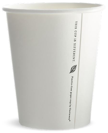 compostable hot cups