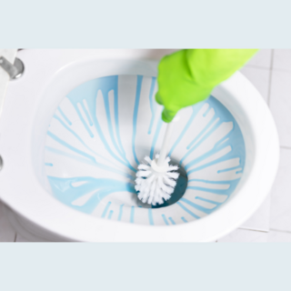 Toilet & Urinal Cleaning Products